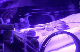 HUOP promove III Encontro de Neonatologia com foco no cuidado aos prematuros após a alta hospitalar