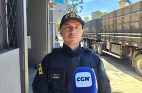 PRF apreende grande quantidade de maconha escondida em carga de maravalha na BR-277