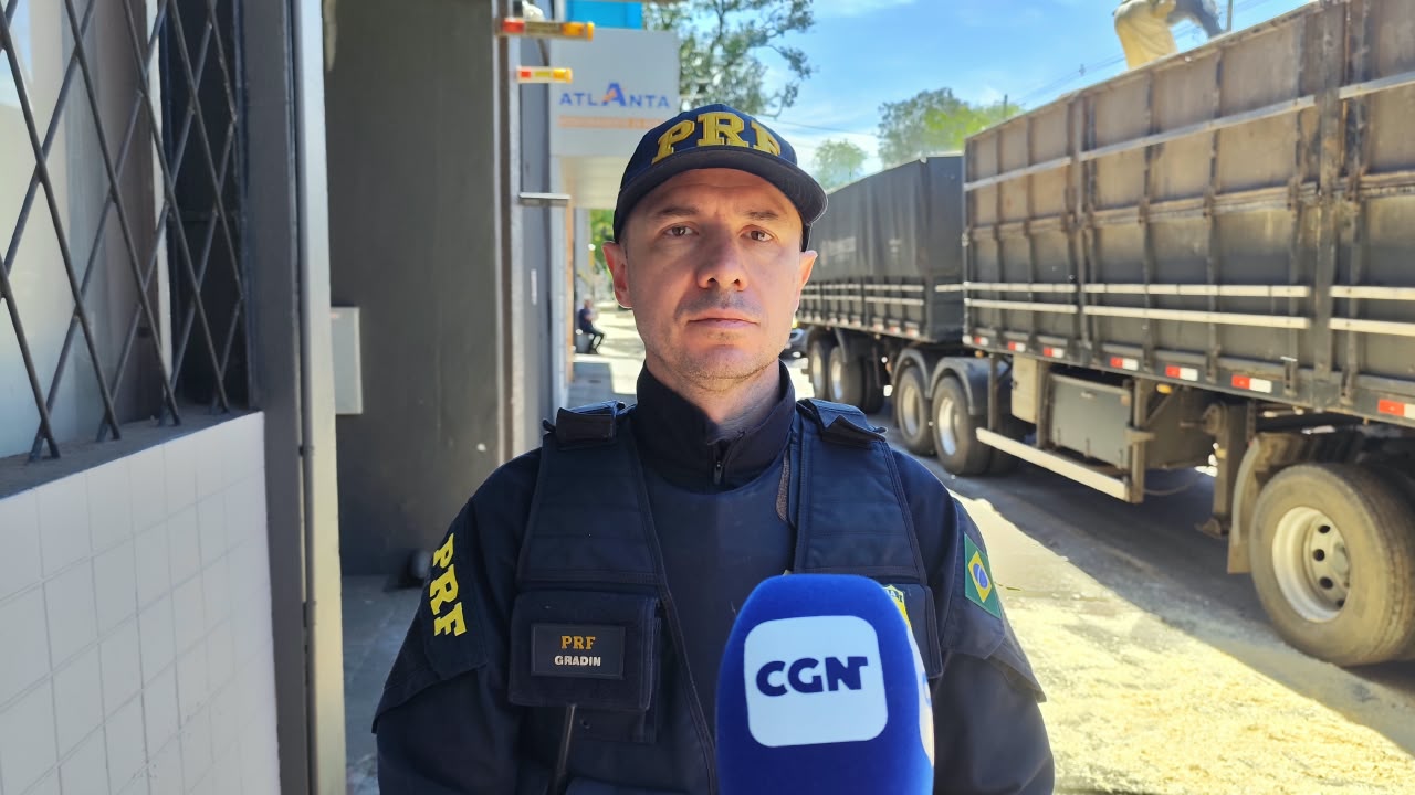 PRF apreende grande quantidade de maconha escondida em carga de maravalha na BR-277