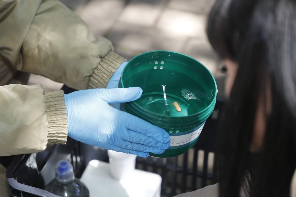 Método Wolbachia: Prefeitura de Cascavel inicia fase de implantação de tecnologia de controle e prevenção da dengue Imagem referente a Método Wolbachia: Prefeitura de Cascavel inicia fase de implantação de tecnologia de controle e prevenção da dengue