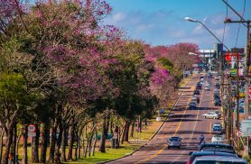 Atenção MEIs de Cascavel: entenda como funcionará o perdão de dívidas e o Pix de R$ 5 mil na sua conta
