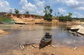 Estiagem: governo federal reconhece emergência em municípios do Amapá Estiagem: governo federal reconhece emergência em municípios do Amapá