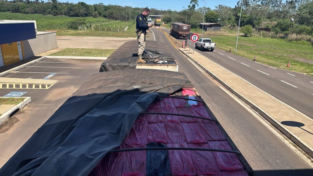 Imagem referente a PRF apreende 600 mil maços de cigarros contrabandeados na BR-487 em Alto Paraíso