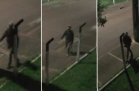 Câmeras flagram tentativa de furto em carro durante a madrugada em Cascavel