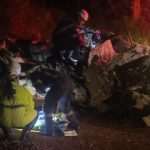 Imagem relativa a Acidente na BR-277 deixa jovem de 20 anos morta após caminhonete bater contra árvore em Cantagalo
