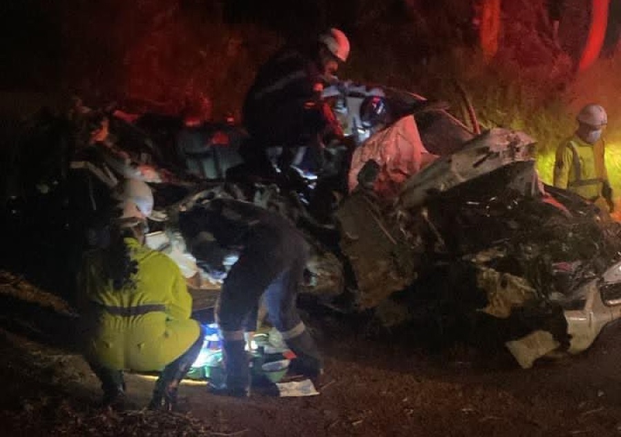 Imagem referente a Acidente na BR-277 deixa jovem de 20 anos morta após caminhonete bater contra árvore em Cantagalo