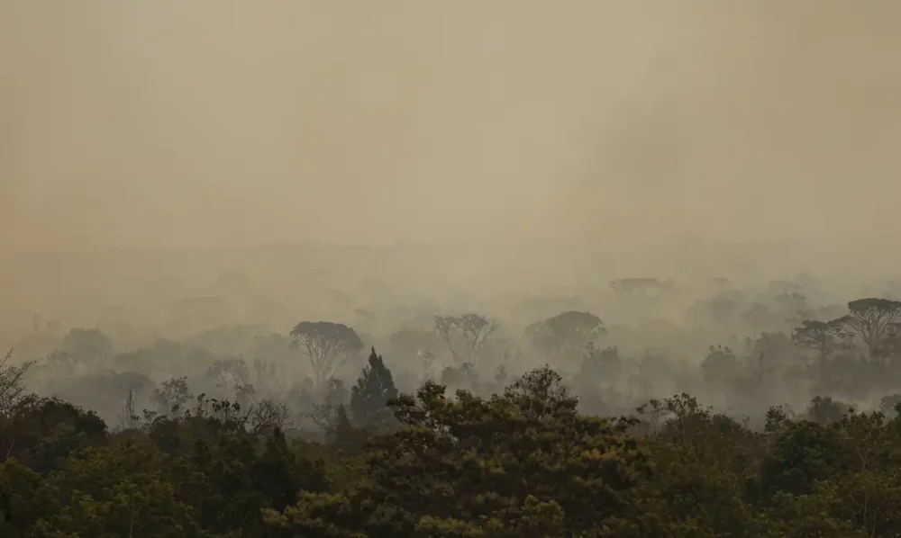 Imagem referente a Força Nacional do SUS apoia atendimentos no Amazonas após incêndios