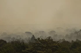 Força Nacional do SUS apoia atendimentos no Amazonas após incêndios
