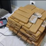 Imagem relativa a Venezuelana que saiu de Cascavel é presa com 2 kg de skunk em Guarapuava