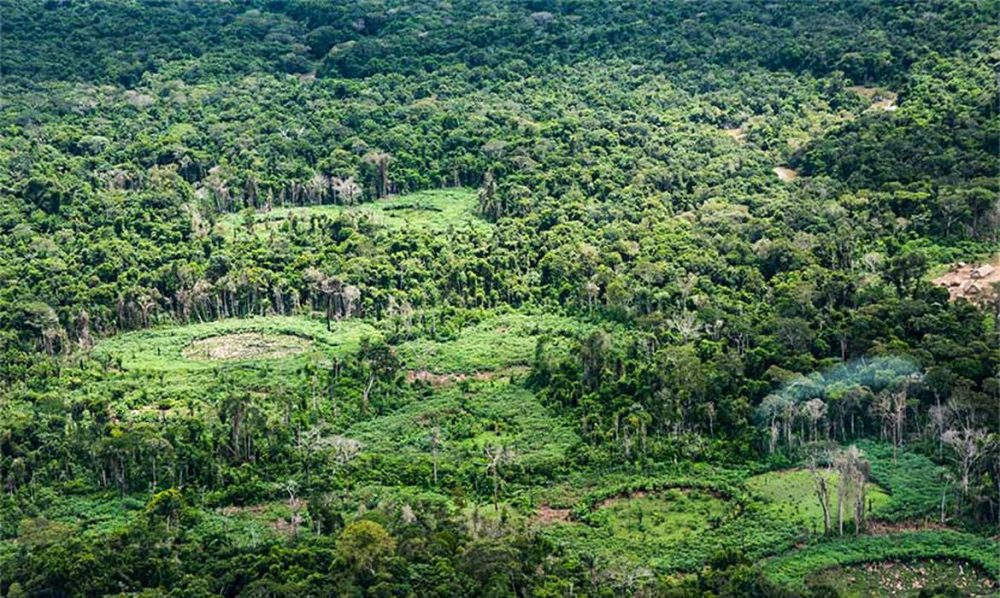 Plataforma pan-amazônica reúne 232 políticas públicas para bioeconomia Imagem referente a Plataforma pan-amazônica reúne 232 políticas públicas para bioeconomia