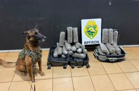 BPFRON apreende 13,3 kg de maconha em ônibus na cidade de Medianeira
