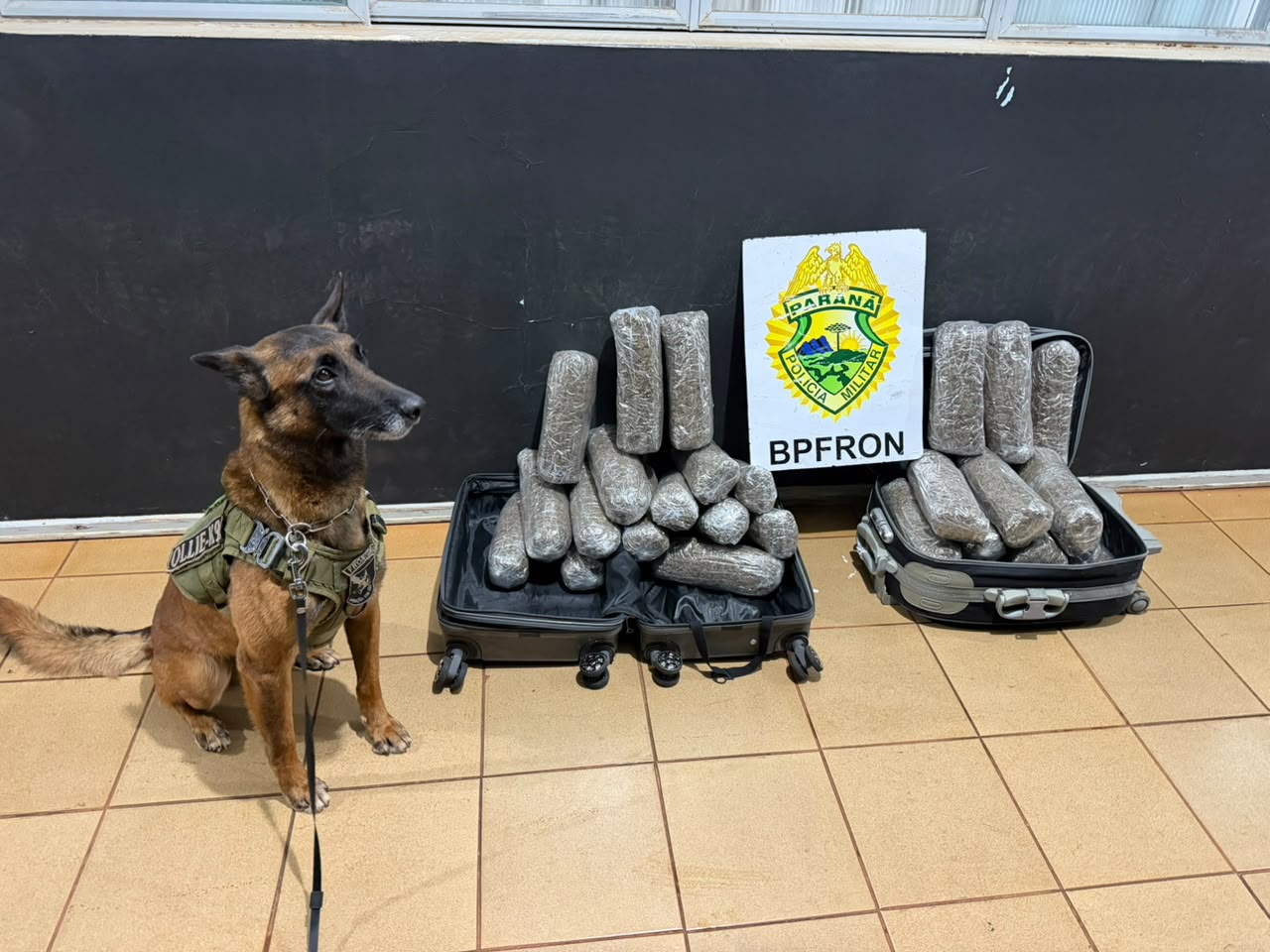 BPFRON apreende 13,3 kg de maconha em ônibus na cidade de Medianeira