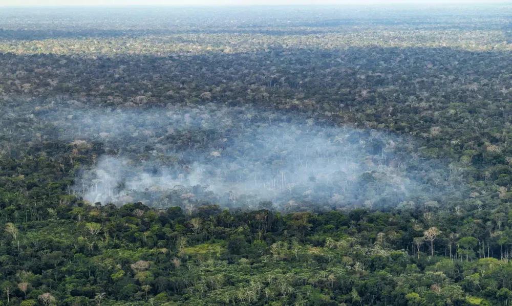 Imagem referente a Estudo aponta atividade humana nas emissões de carbono na Amazônia