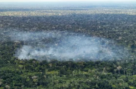 Estudo aponta atividade humana nas emissões de carbono na Amazônia Estudo aponta atividade humana nas emissões de carbono na Amazônia