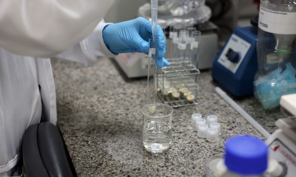 Imagem referente a Doença de Newcastle: protocolos sanitários são cumpridos em SC