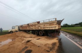 Caminhão carregado com trigo tomba na PR-495 em Pato Bragado Caminhão carregado com trigo tomba na PR-495 em Pato Bragado