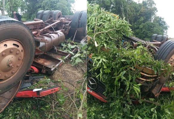 Caminhão capota e motorista morre na rodovia PR-487 Caminhão capota e motorista morre na rodovia PR-487