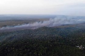 Governo intensifica reforços para combater incêndios no Pará Governo intensifica reforços para combater incêndios no Pará