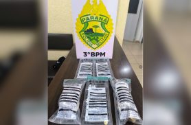 Polícia prende mulher e apreende menor no Bairro Alvorada, por tráfico de drogas em Pato Branco Polícia prende mulher e apreende menor no Bairro Alvorada, por tráfico de drogas em Pato Branco