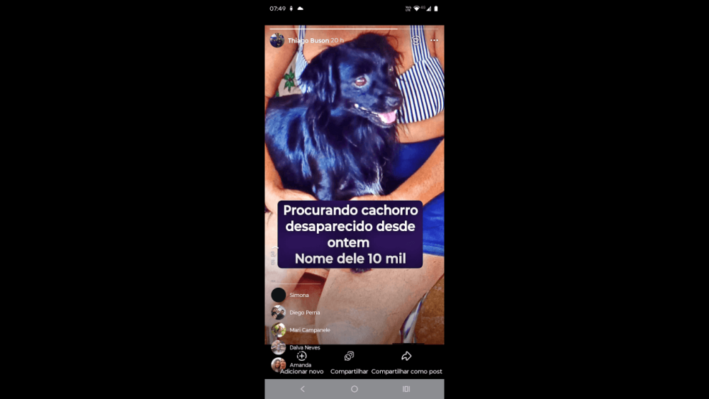 Imagem referente a Cachorro 10 mil desapareceu no bairro Brasília