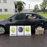 Imagem relativa a Ação conjunta apreende 478 kg de maconha em Foz do Iguaçu