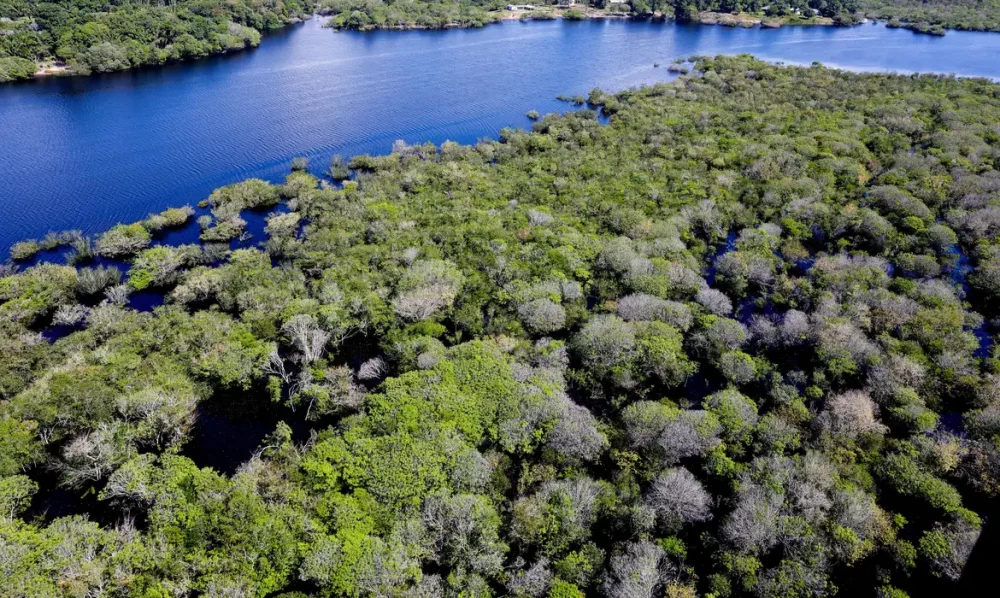 Imagem referente a Desmatamento em áreas protegidas da Amazônia e do Cerrado tem queda