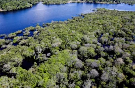 Desmatamento em áreas protegidas da Amazônia e do Cerrado tem queda