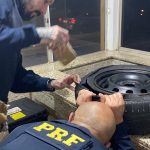 Imagem relativa a PRF apreende quase 6 kg de drogas em veículo na BR-277, em Santa Terezinha de Itaipu