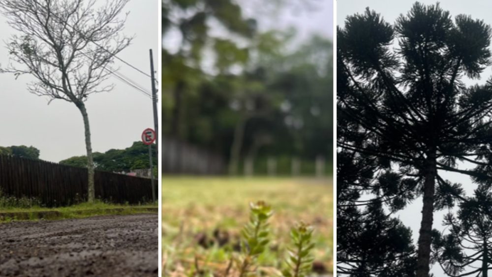 Imagem referente a Chuva e rajadas de até 68 km/h: veja previsão atualizada sobre temporal em Cascavel