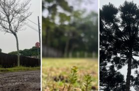 Chuva e rajadas de até 68 km/h: veja previsão atualizada sobre temporal em Cascavel