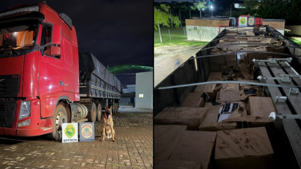 Imagem referente a BPFRON apreende 10,8 mil garrafas de vinho argentino e prende homem