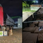 Imagem relativa a BPFRON apreende 10,8 mil garrafas de vinho argentino e prende homem