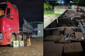 BPFRON apreende 10,8 mil garrafas de vinho argentino e prende homem