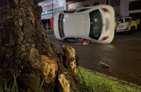 Ka tomba após bater contra árvore na Rua Olindo Periolo