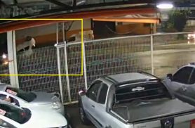 Câmera flagra Ka capotando em acidente na Rua Olindo Periolo