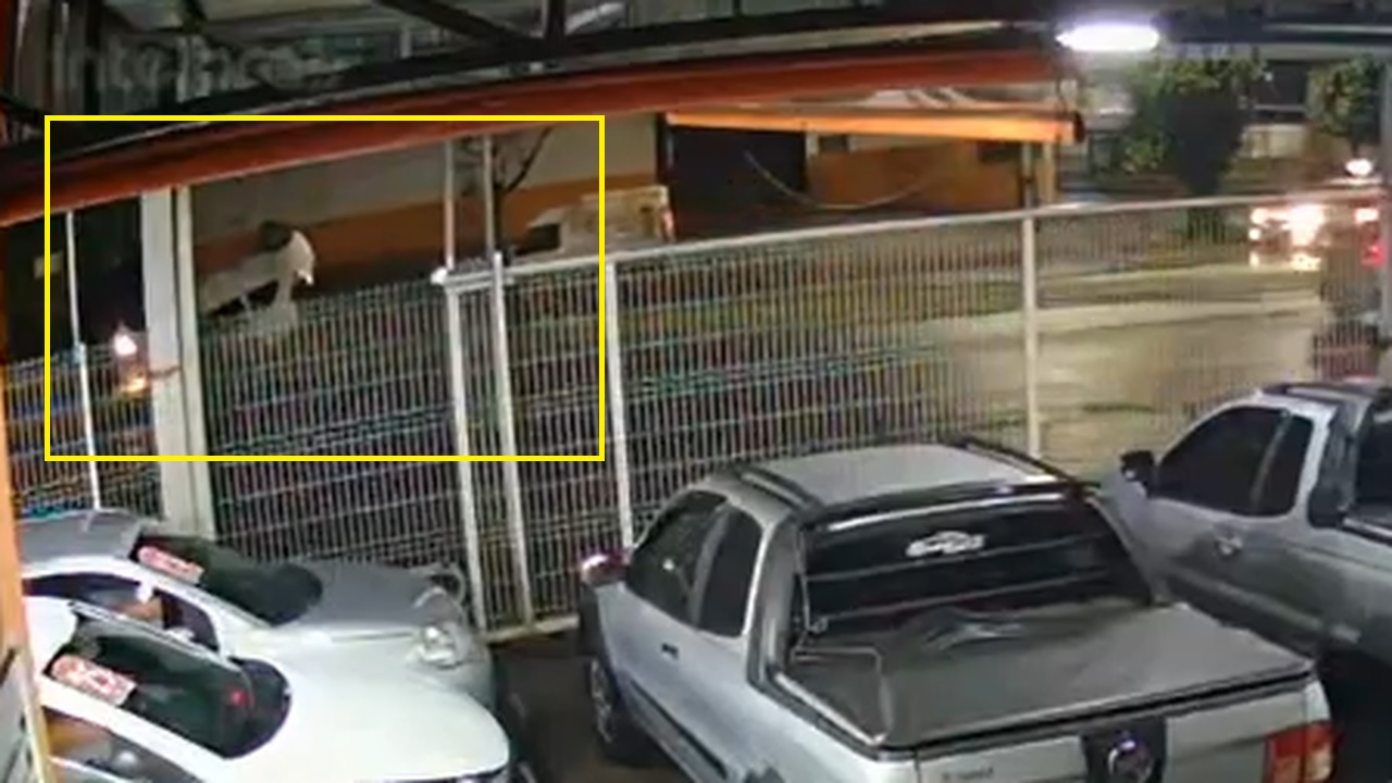 Câmera flagra Ka capotando em acidente na Rua Olindo Periolo