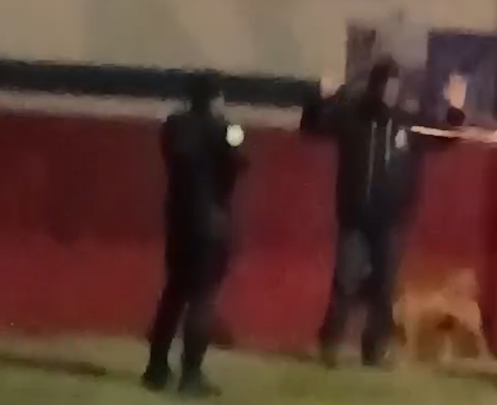 GM efetua disparo de Spark após confusão envolvendo acidente com moto elétrica em Cascavel