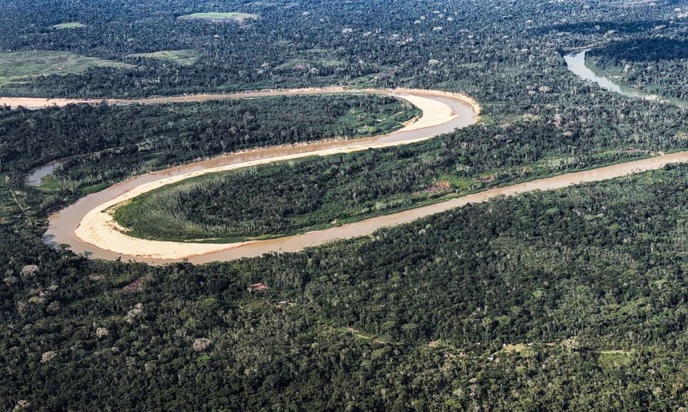 Imagem referente a Holanda anuncia US$ 500 milhões em fundo florestal criado pelo Brasil