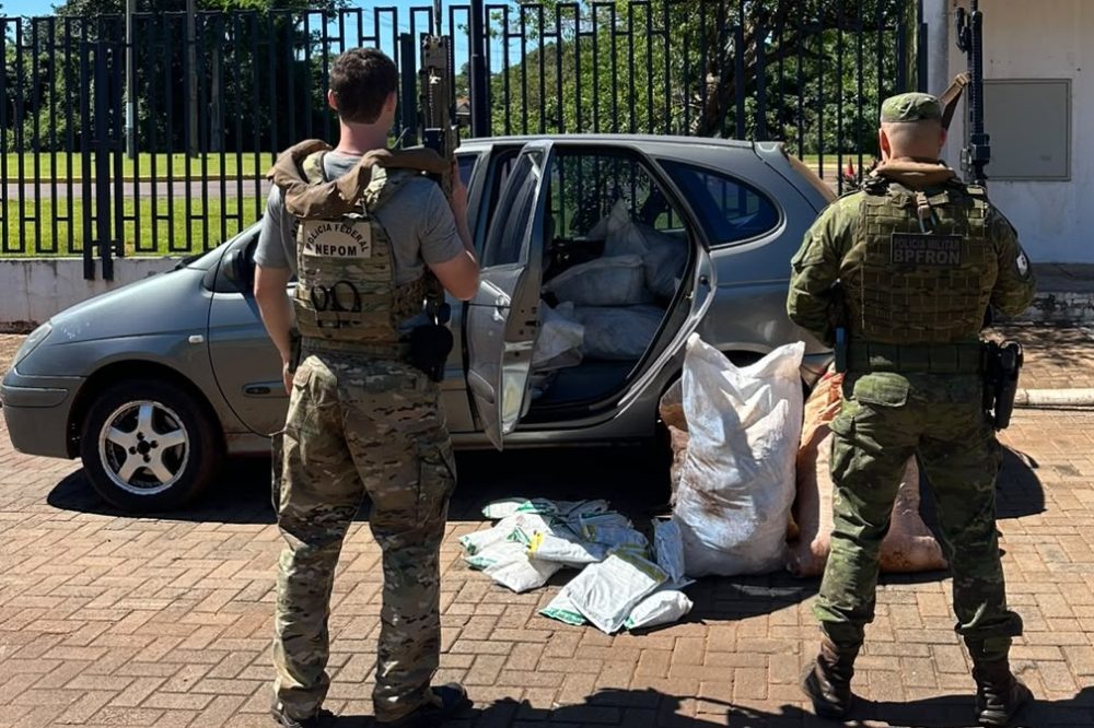 Imagem referente a Polícia apreende mais de 300 pacotes de agrotóxicos contrabandeados em Porto Mendes