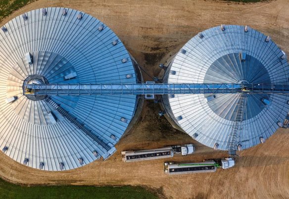 Quem faz a tecnologia chegar ao campo? Dia do Engenheiro Agrícola destaca profissão