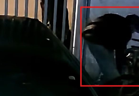 Homem entra em residência no Cascavel Velho e morador pede ajuda para identificá-lo