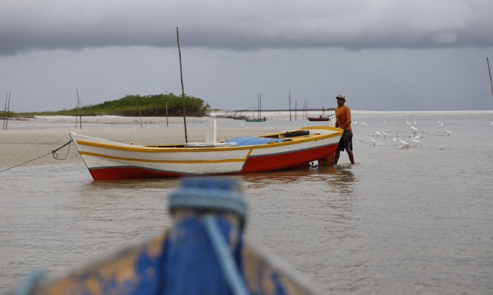 Imagem referente a PF impede desvio de até R$ 10 bi no seguro defeso no Maranhão