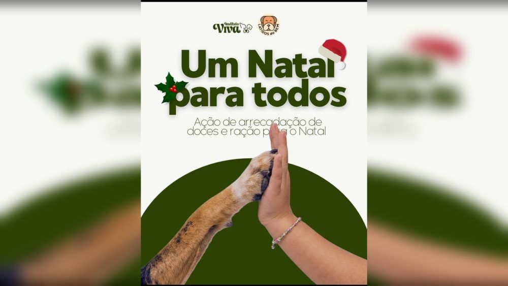 Imagem referente a Instituto Viva convoca Cascavel para doar doces e rações e alegrar o Natal do bairro Julieta Bueno