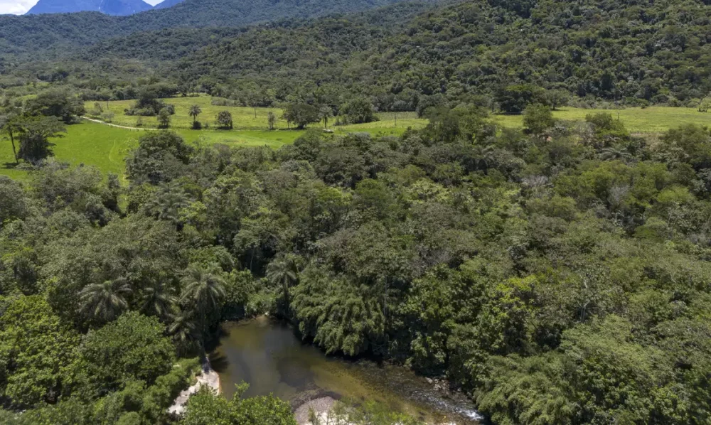 Imagem referente a Brasil diminui em 43% área de vegetação nativa fragmentada