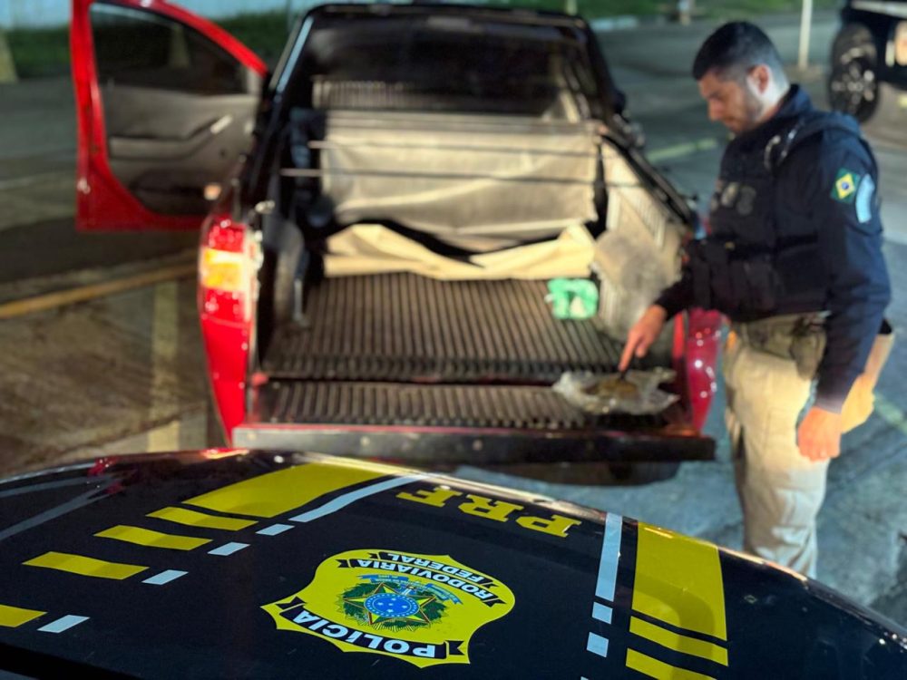 Imagem referente a PRF recupera caminhonete clonada e apreende maconha no Bairro Alto, em Curitiba