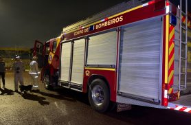 Corpo de Bombeiros é acionado para capturar réptil no imóvel na Região Norte de Cascavel