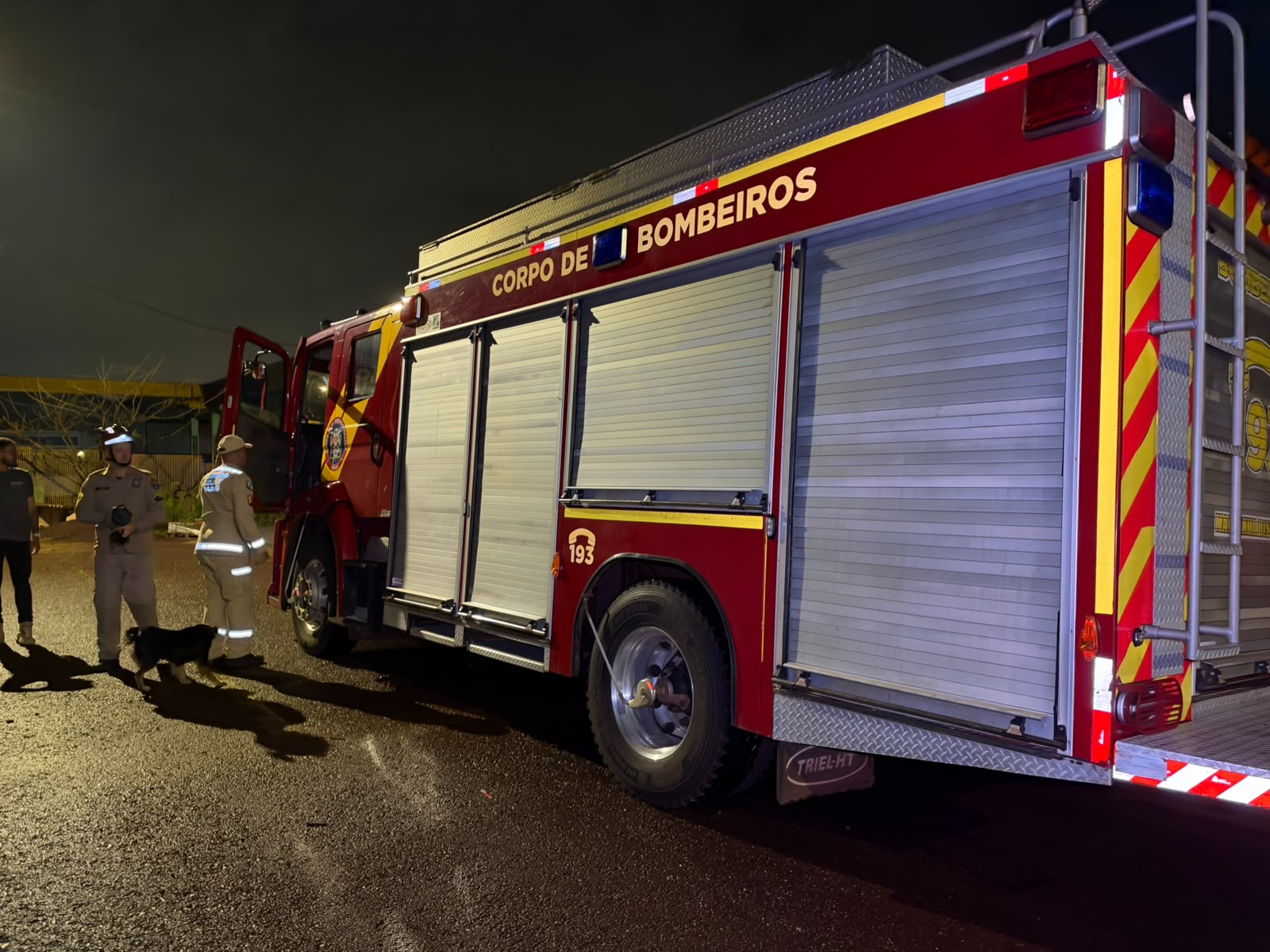 Corpo de Bombeiros é acionado para capturar réptil no imóvel na Região Norte de Cascavel