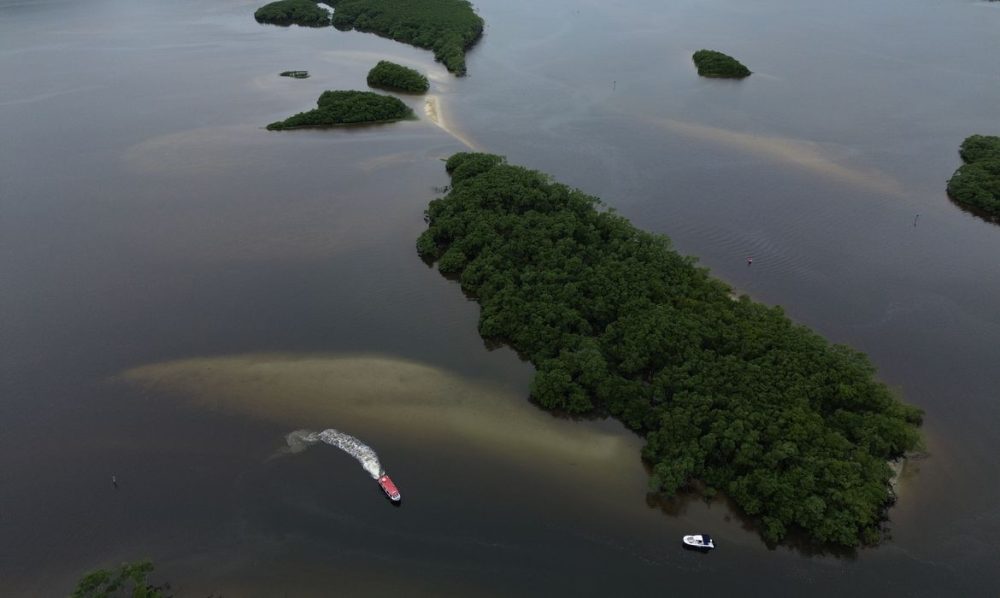 Imagem referente a Países consideram insuficientes ações contra crise da biodiversidade