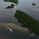 Países consideram insuficientes ações contra crise da biodiversidade Imagem relativa a Países consideram insuficientes ações contra crise da biodiversidade