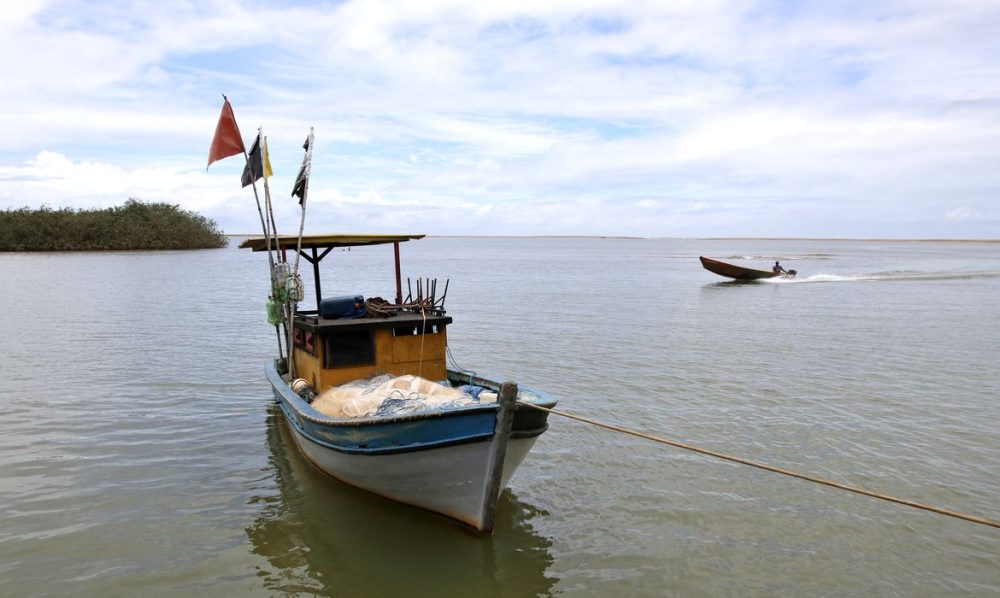 Imagem referente a Pesca na foz do Rio Doce volta a ser liberada depois de dez anos